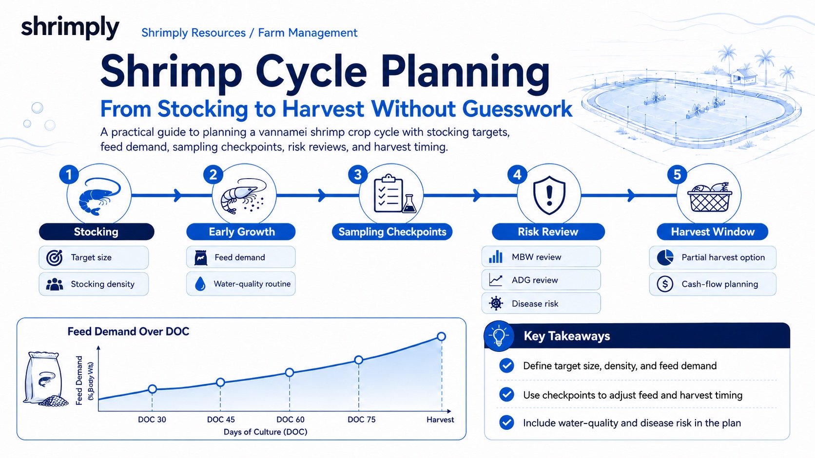 Shrimp cycle planning infographic for vannamei farms from stocking and feed demand to sampling checkpoints, risk review, and harvest window