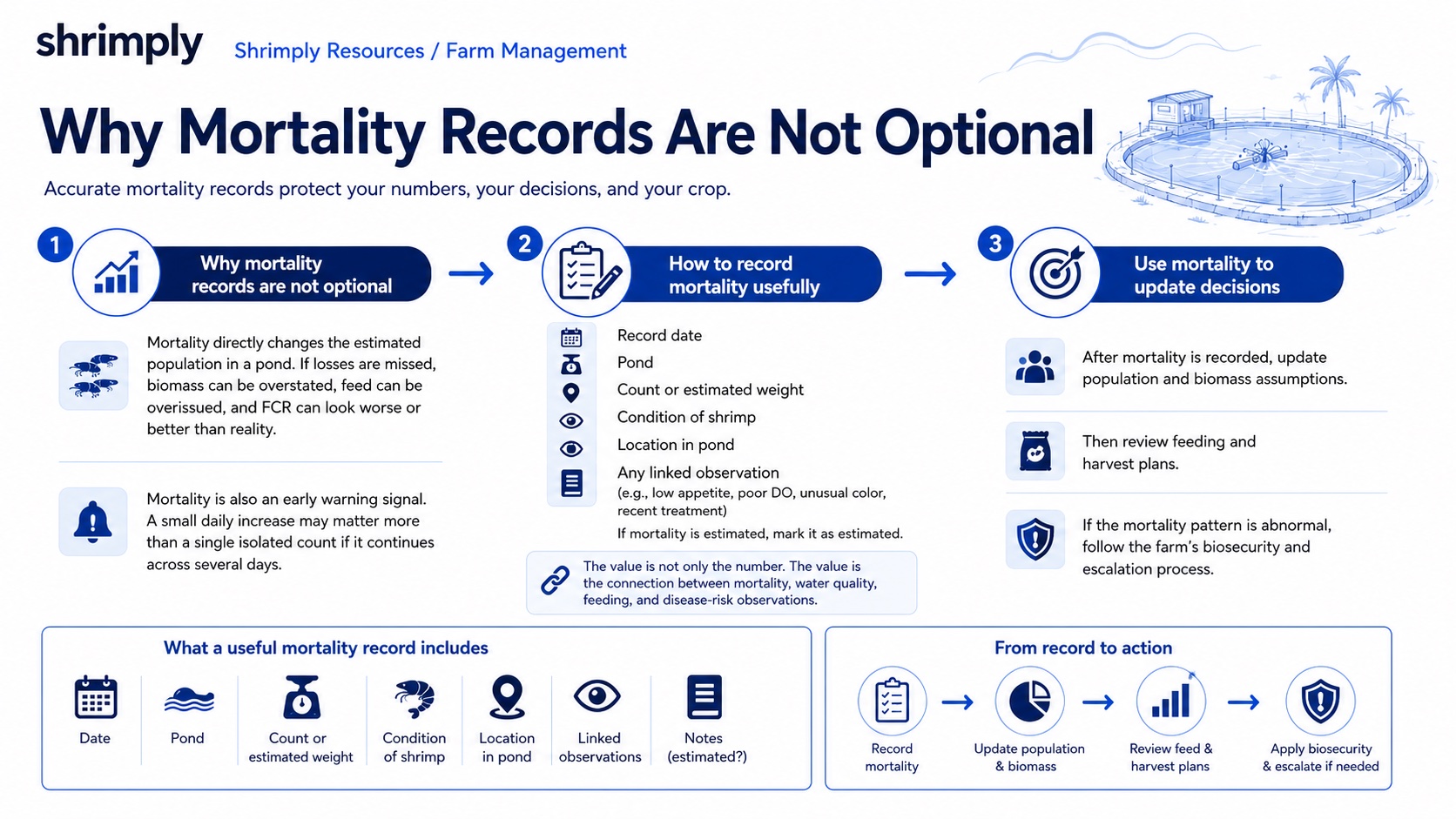 Shrimp mortality tracking infographic for recording pond losses, survival, biomass, FCR risk, disease response, and harvest planning